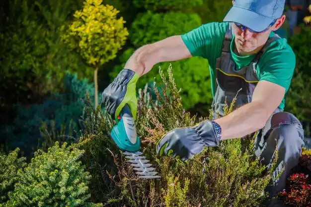 landscaping services Leigh